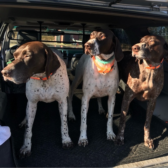 Meet your Posher, Michele - Picture 2 of 2